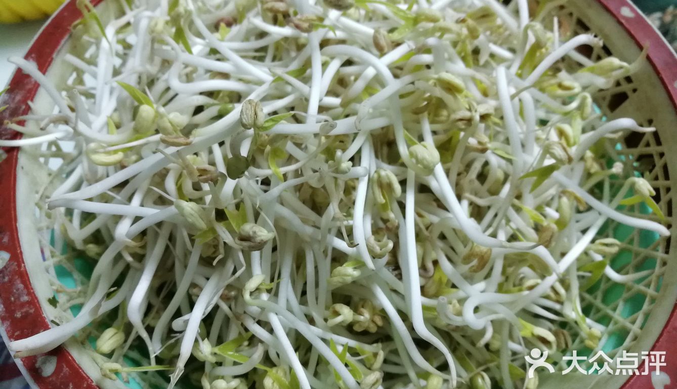 春日的爽口芽菜炒肉