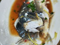 -原龙海鲜大排档(美食地标店)