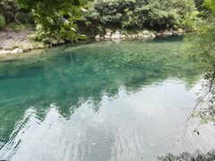 -石台牯牛降景区