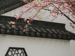 -枫桥夜泊