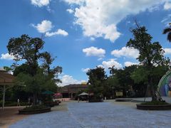 -美的鹭湖探索王国