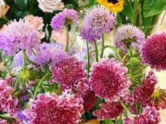 -森野花艺培训·企业团建活动沙龙