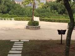 -大亚湾红树林城市湿地公园
