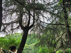 -曲阜师范大学(曲阜校区)