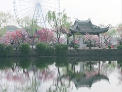 -无锡蠡湖国家湿地公园-蠡园