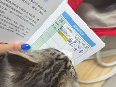 -达爱动物医院·犬猫分区·CT·复杂眼科(远洋山水分院)