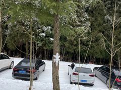 -武陵山森林公园