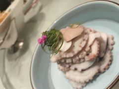 -沪碟·精菜坊(闵行店)