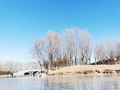 -马家湾湿地公园