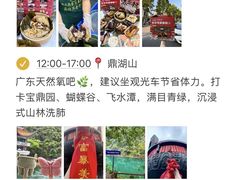 -鼎香皇高佬苏裹蒸粽