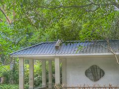 -晓港公园