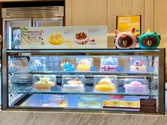 面包甜点陈列柜-哈根达斯(深圳海岸城店)