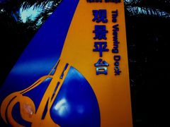 -演武大桥观景平台