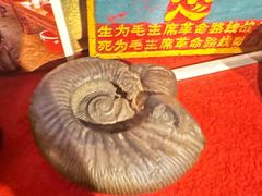 -吉祥圣雪藏餐