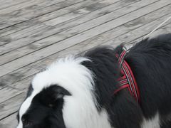 -长广溪湿地公园