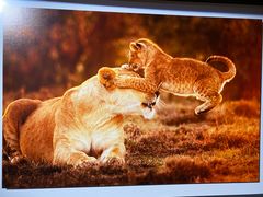 -罗红摄影艺术馆