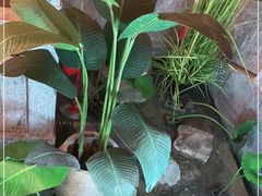 -十二饭点·川菜(北站圆融店)