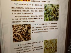 -广州神农草堂中医药博物馆