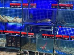 水产区-捞围鲜·港式打边炉(海阳路店)