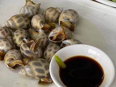 -明记海鲜大排档(巽寮湾店)