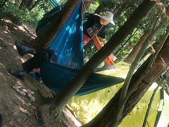 -铁山坪森林公园