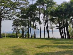 -深圳湾公园(南山区)