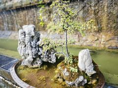 -乖乖佳花园山庄·私房菜(阿哈湖公园店)