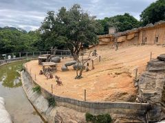 -泉州海丝野生动物世界