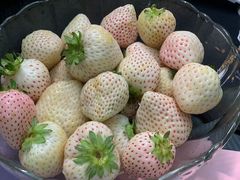 -blt精品超市(杭州城西银泰店)