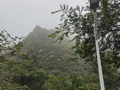 -大岭沟猕猴桃谷风景区