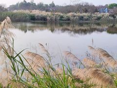 -美的鹭湖森林度假区