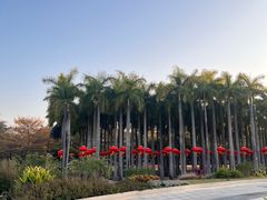 -深圳国际园林花卉博览园