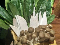 -老牌坊云南鱼豆花火锅(嵩山店)