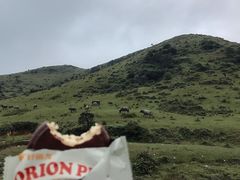 -大姆山草场