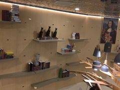 -飞行喵MR PILOT|猫舍·猫咖(静安大融城店)