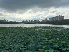 -长春市南湖公园