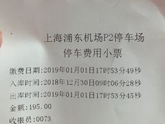 -上海浦东国际机场T1航站楼-P1停车场