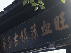 -平乐古镇孙血旺