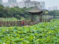 -南宁南湖公园
