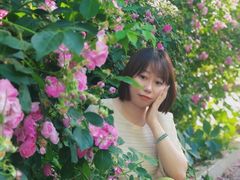 -丰台花园