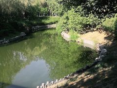 -大兴滨河森林公园