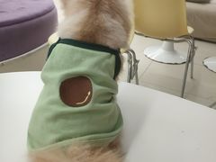 -怪兽屋·羊驼·猫咖·狗咖(俊华广场店)