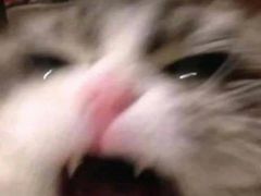 -海底捞火锅(高新活力汇店)