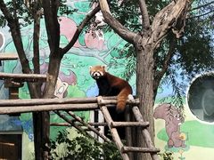 -鄂尔多斯野生动物园