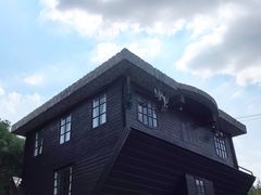 -金山农民画村-枫泾波兰倒置屋