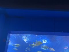 -重庆欢乐海底世界