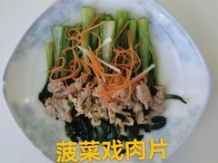 -爱月宝月嫂·育儿嫂