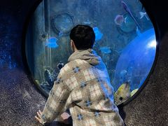 -成都浩海立方海洋公园