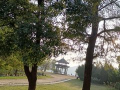 -东湖落雁景区
