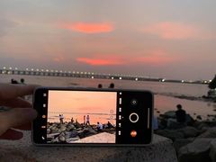 -宝安西湾红树林湿地公园